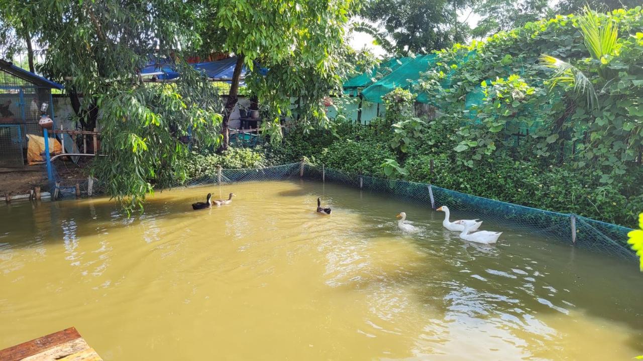 Shānti Niketan Panchobon Art Resort المظهر الخارجي الصورة